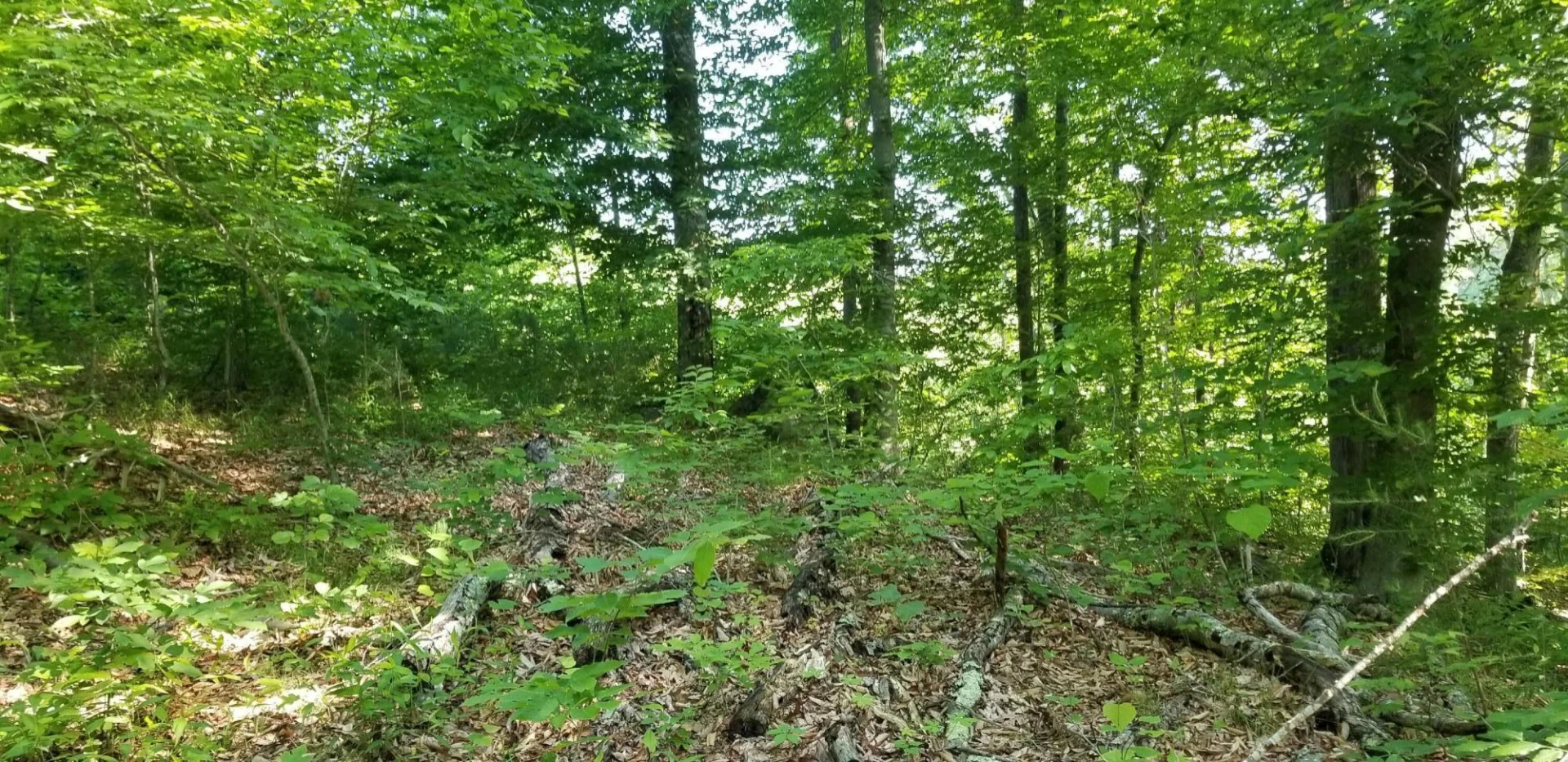 0 INDIAN SUMMER LN - Photo 15