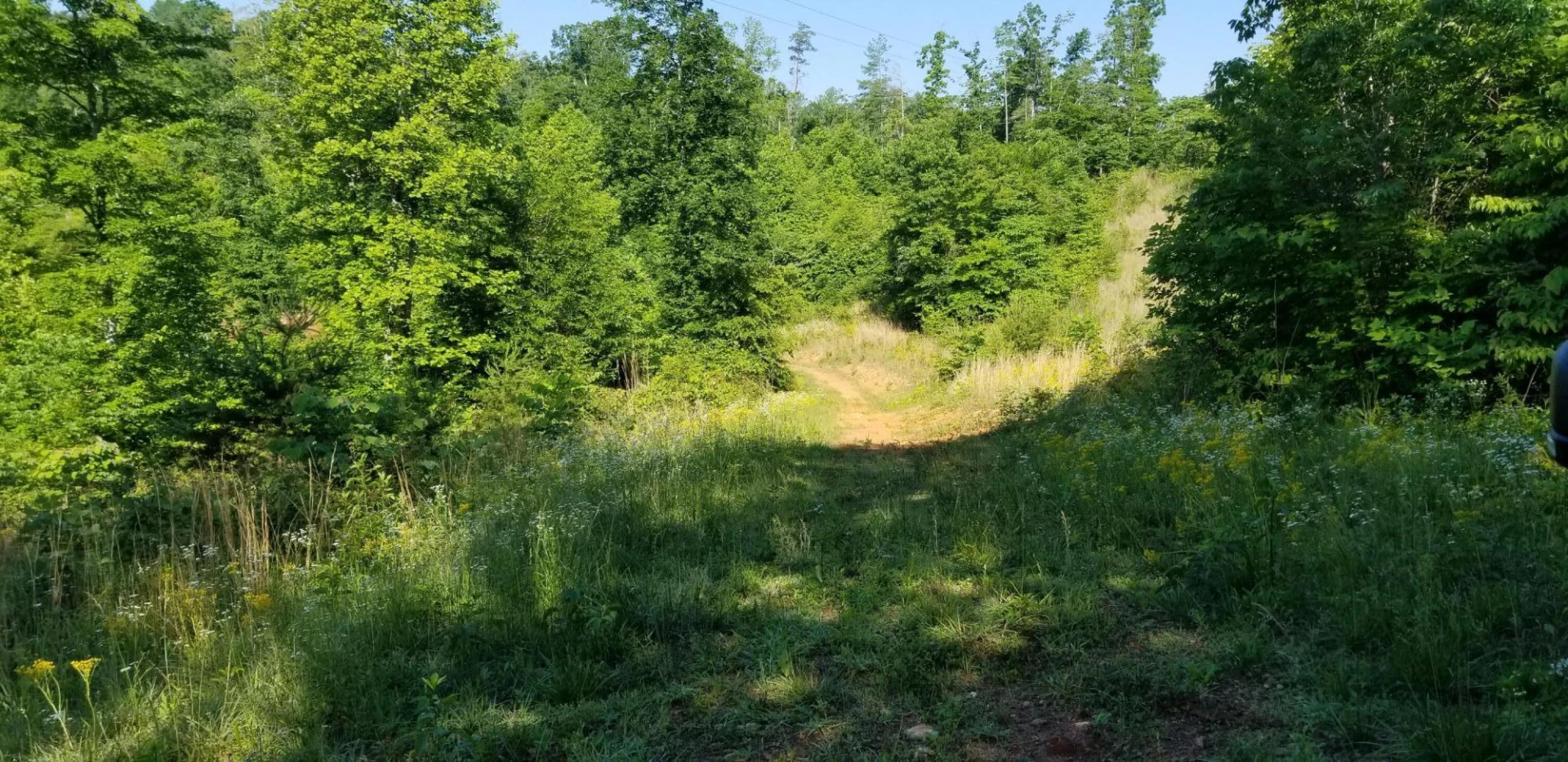 0 INDIAN SUMMER LN - Photo 2