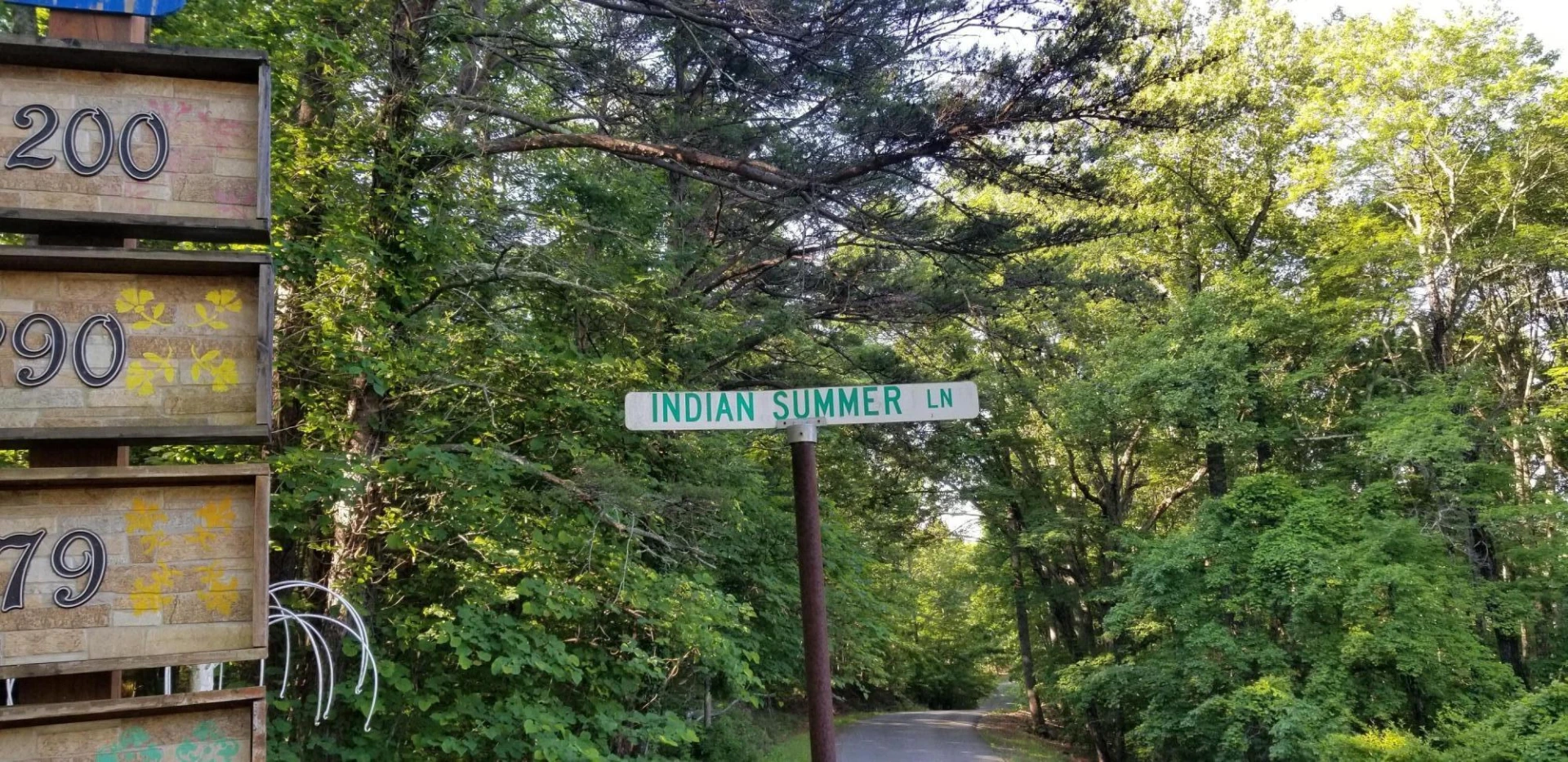 0 INDIAN SUMMER LN - Photo 5