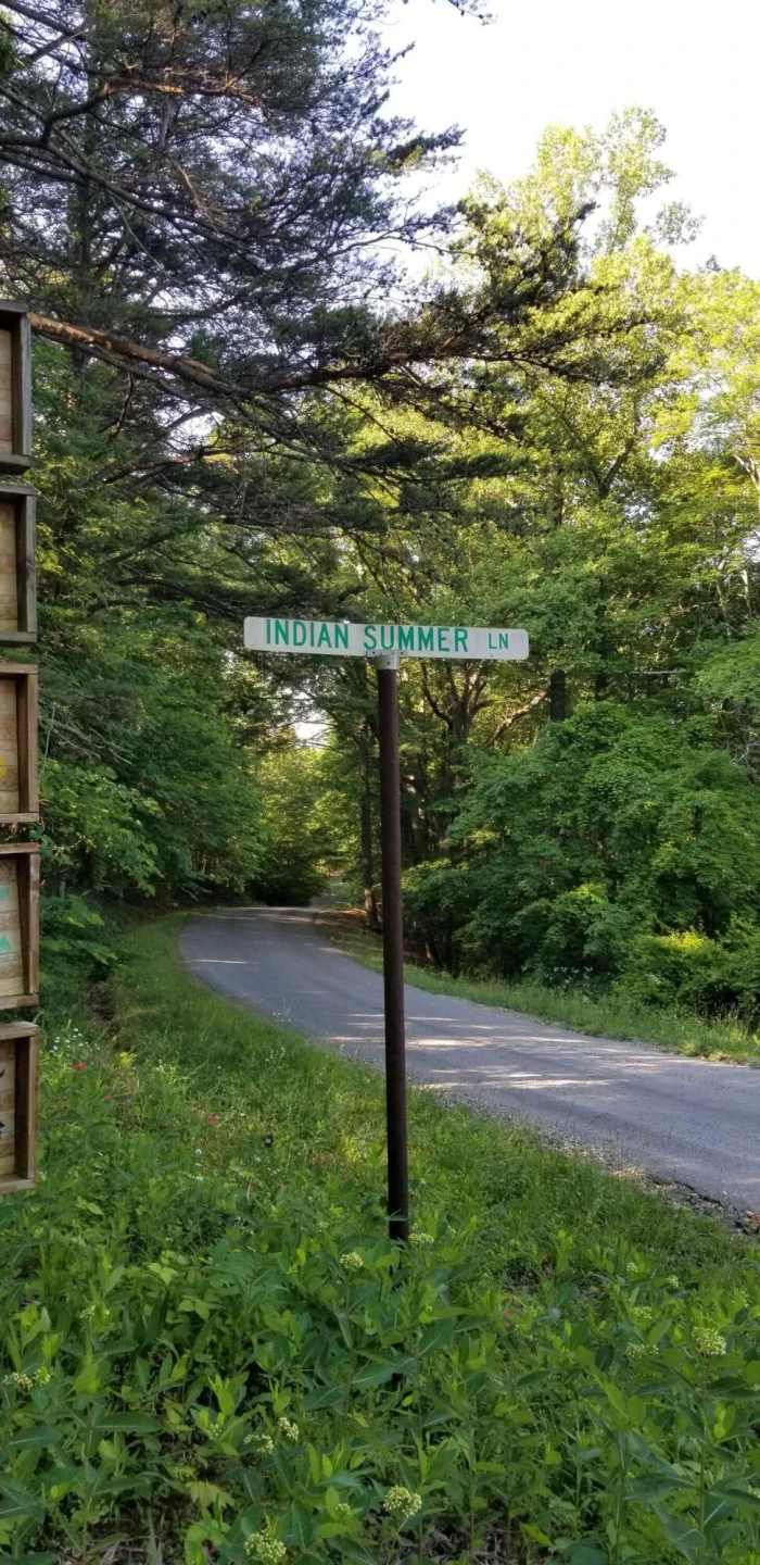 0 INDIAN SUMMER LN - Photo 6