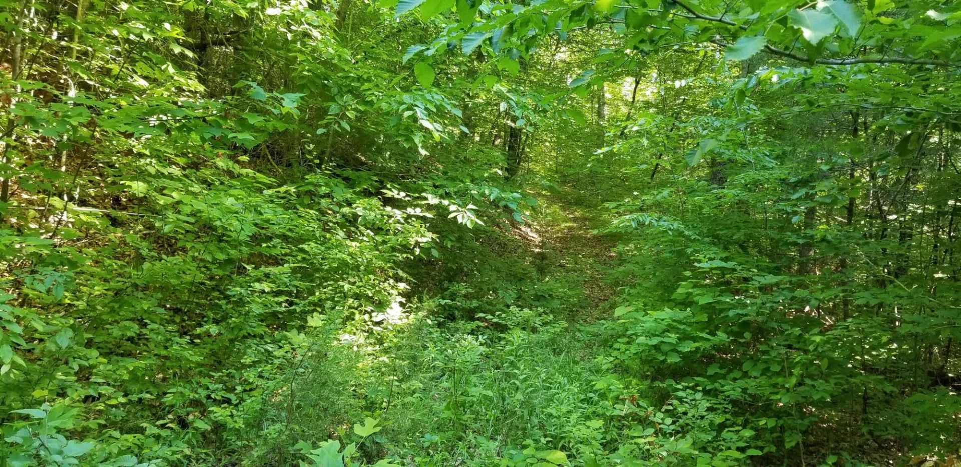 0 INDIAN SUMMER LN - Photo 7