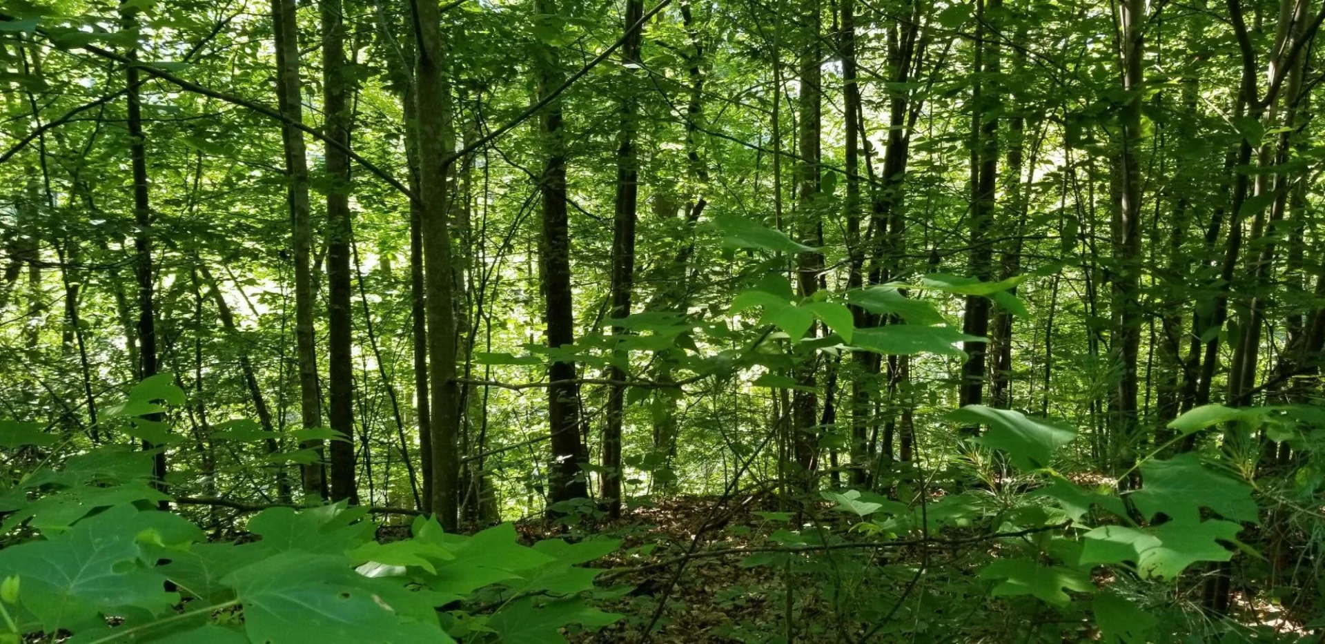 0 INDIAN SUMMER LN - Photo 9