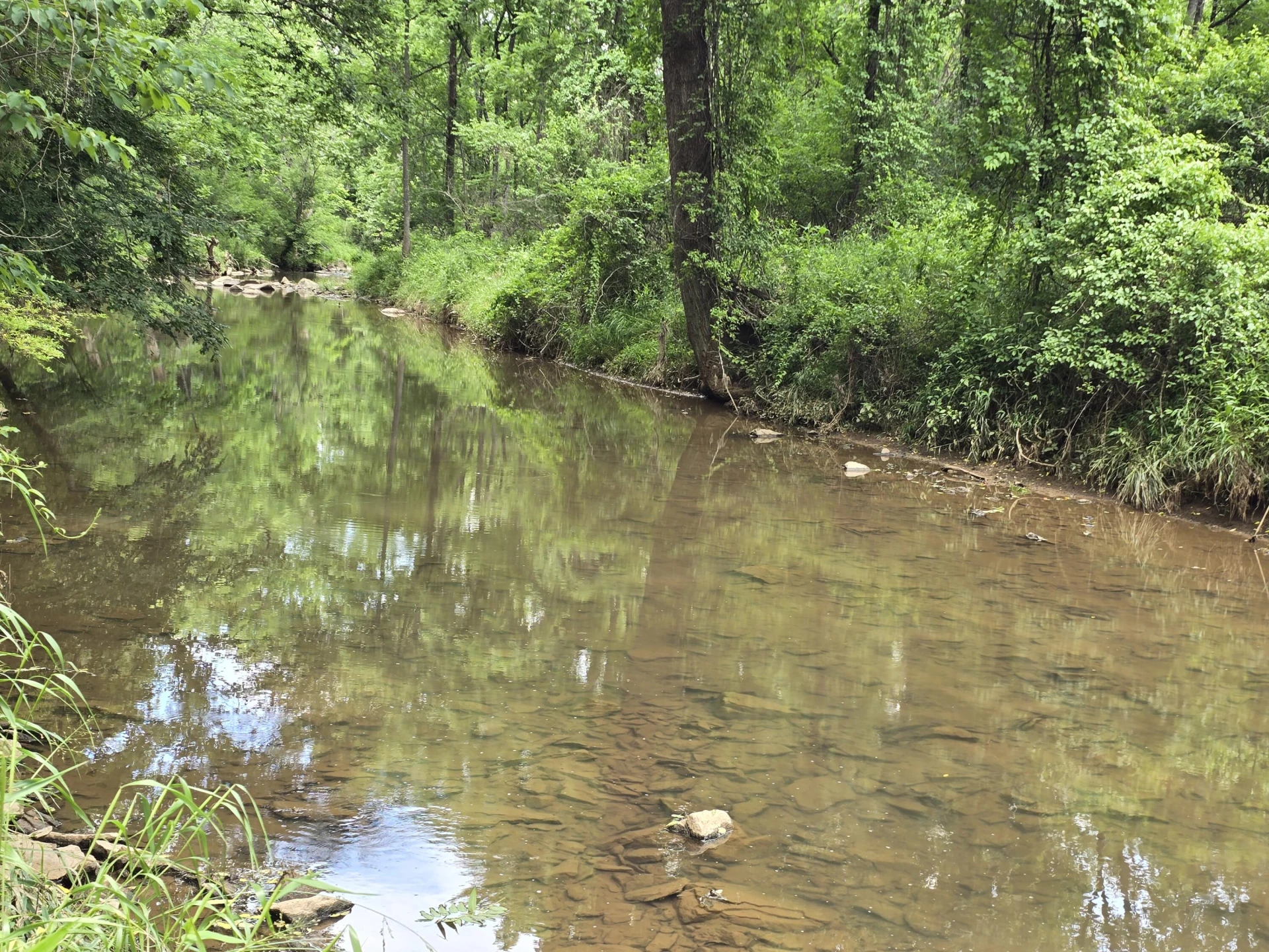 218 N Branch RD - Photo 45