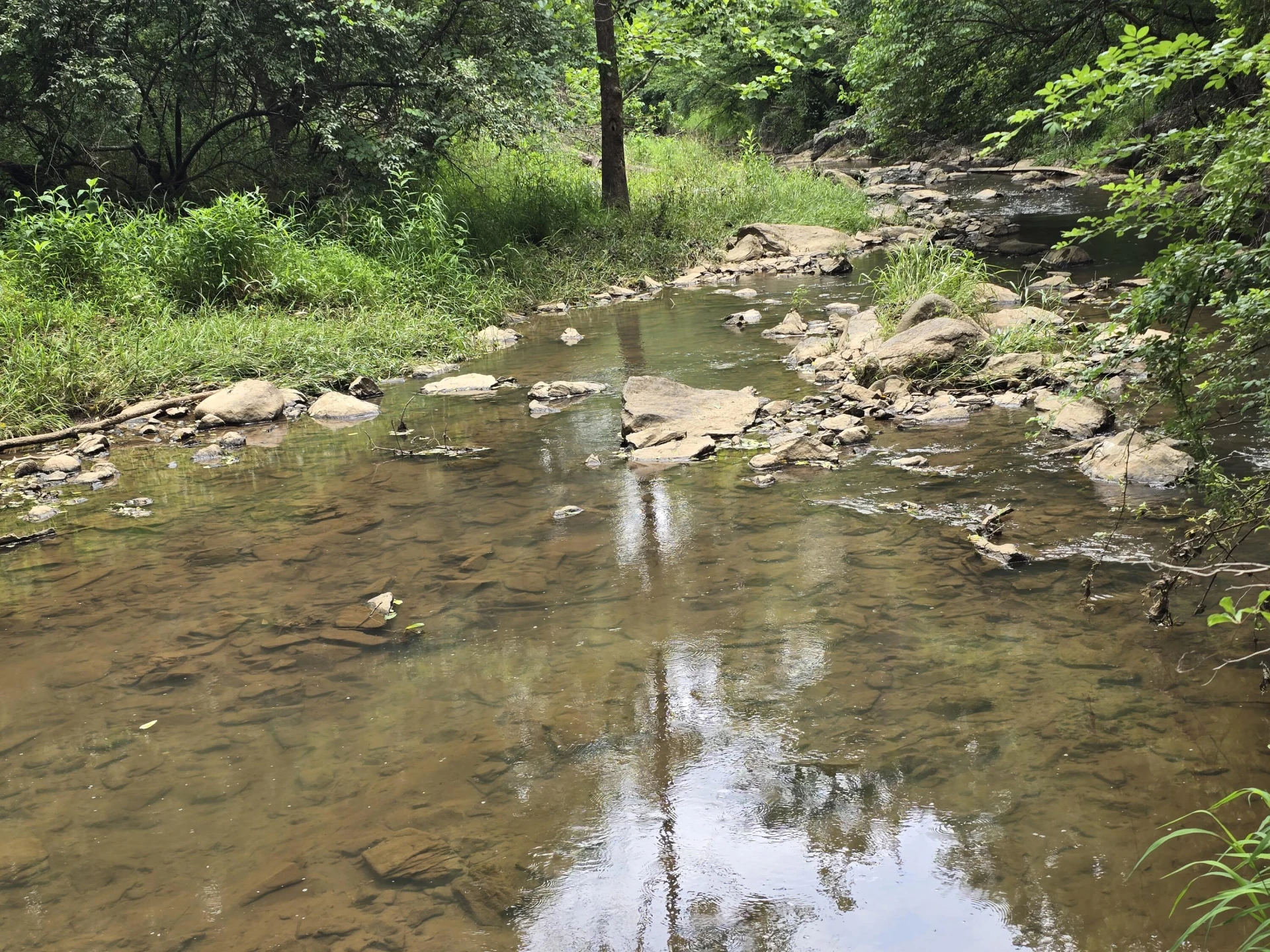 218 N Branch RD - Photo 46
