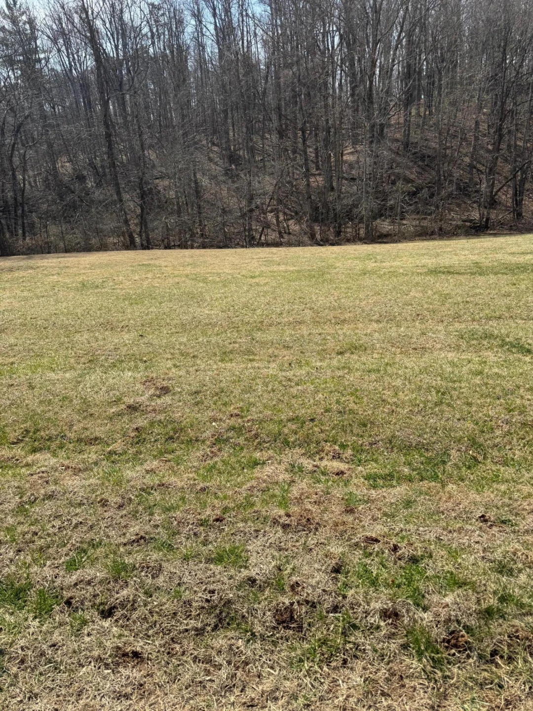 0 Foothills RD - Photo 4