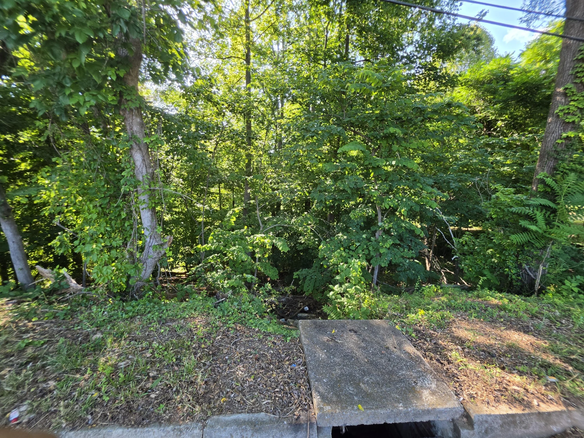 1120 Douglas AVE - Photo 3