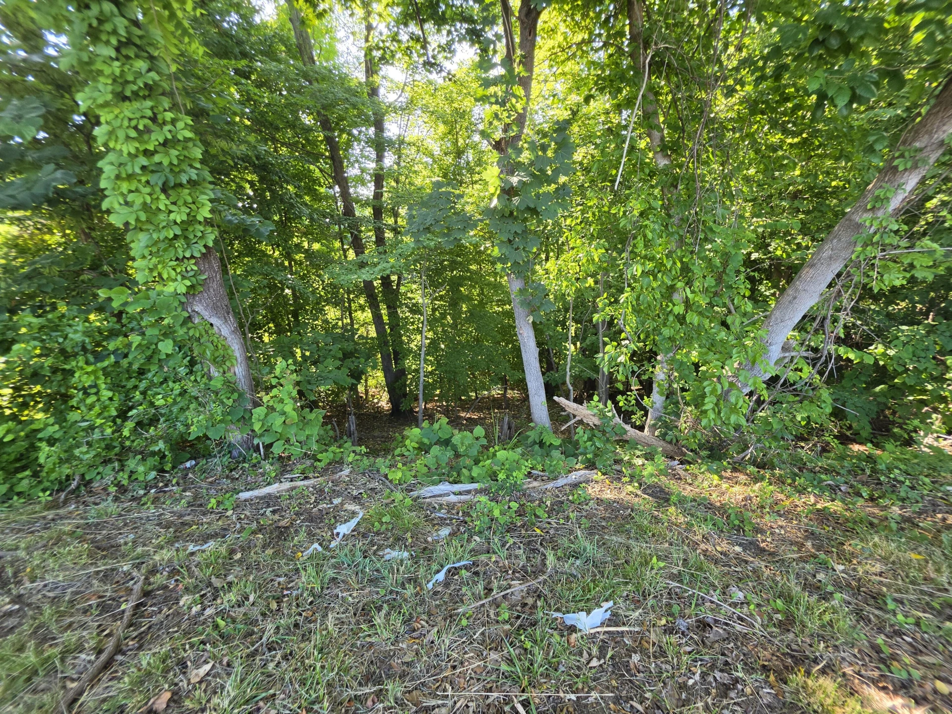 1120 Douglas AVE - Photo 4