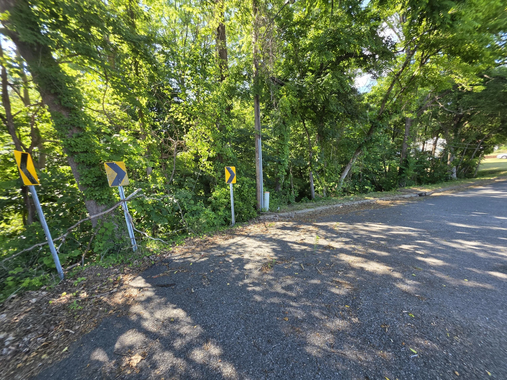 1120 Douglas AVE - Photo 6