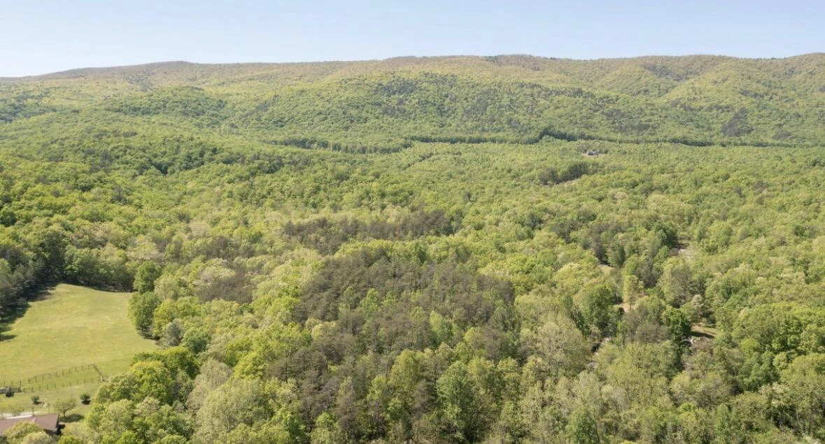 LOT 9 REBEL RIDGE DR - Photo 4