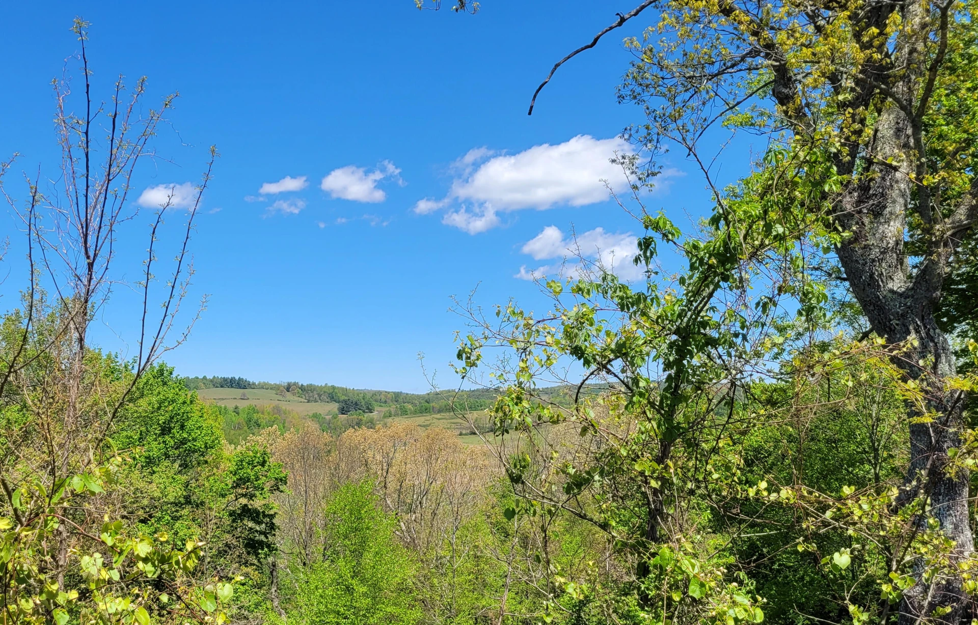 5 Mountain Village LN #26 - Photo 13