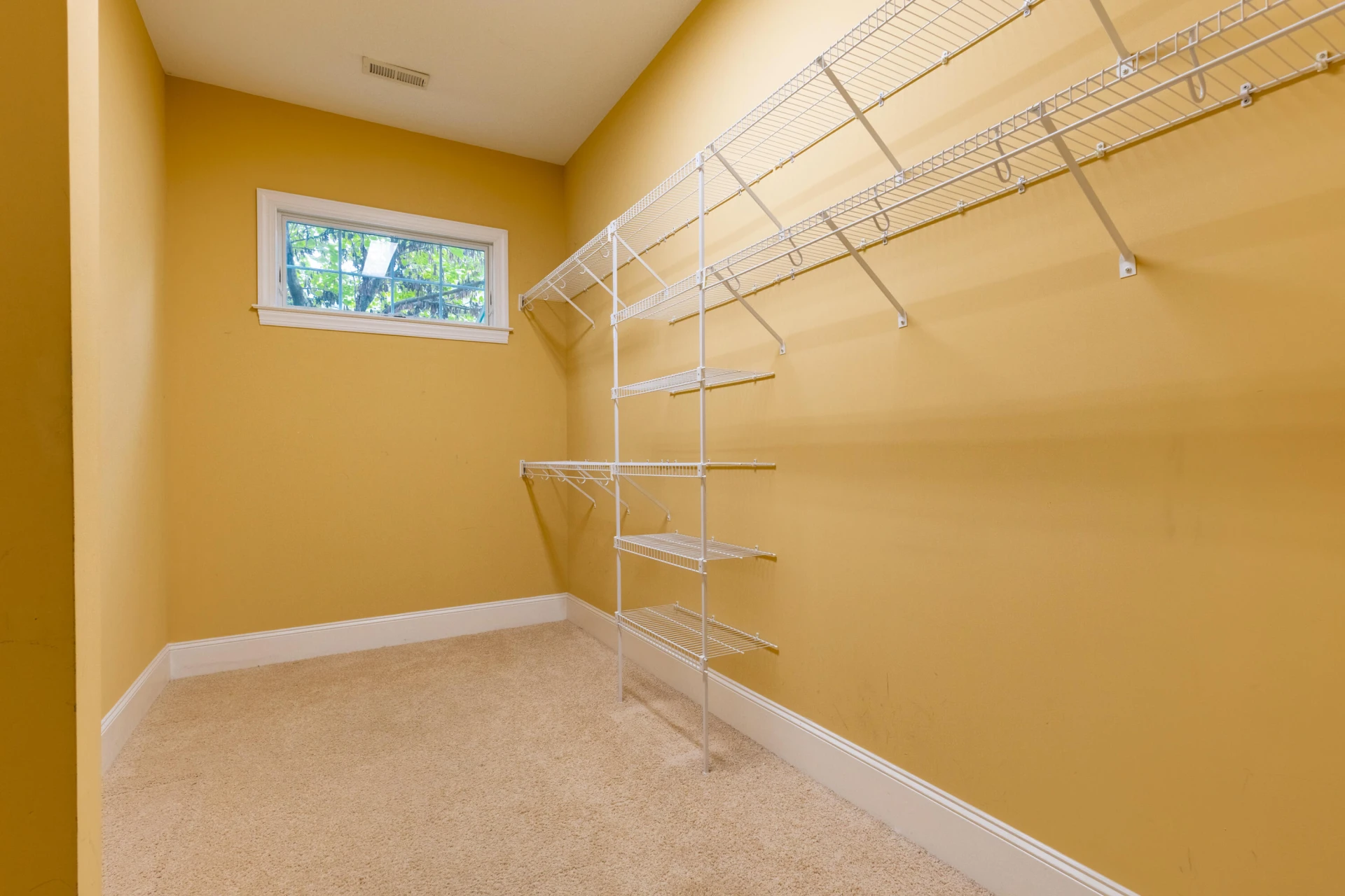 4923 Laryn LN - Photo 13