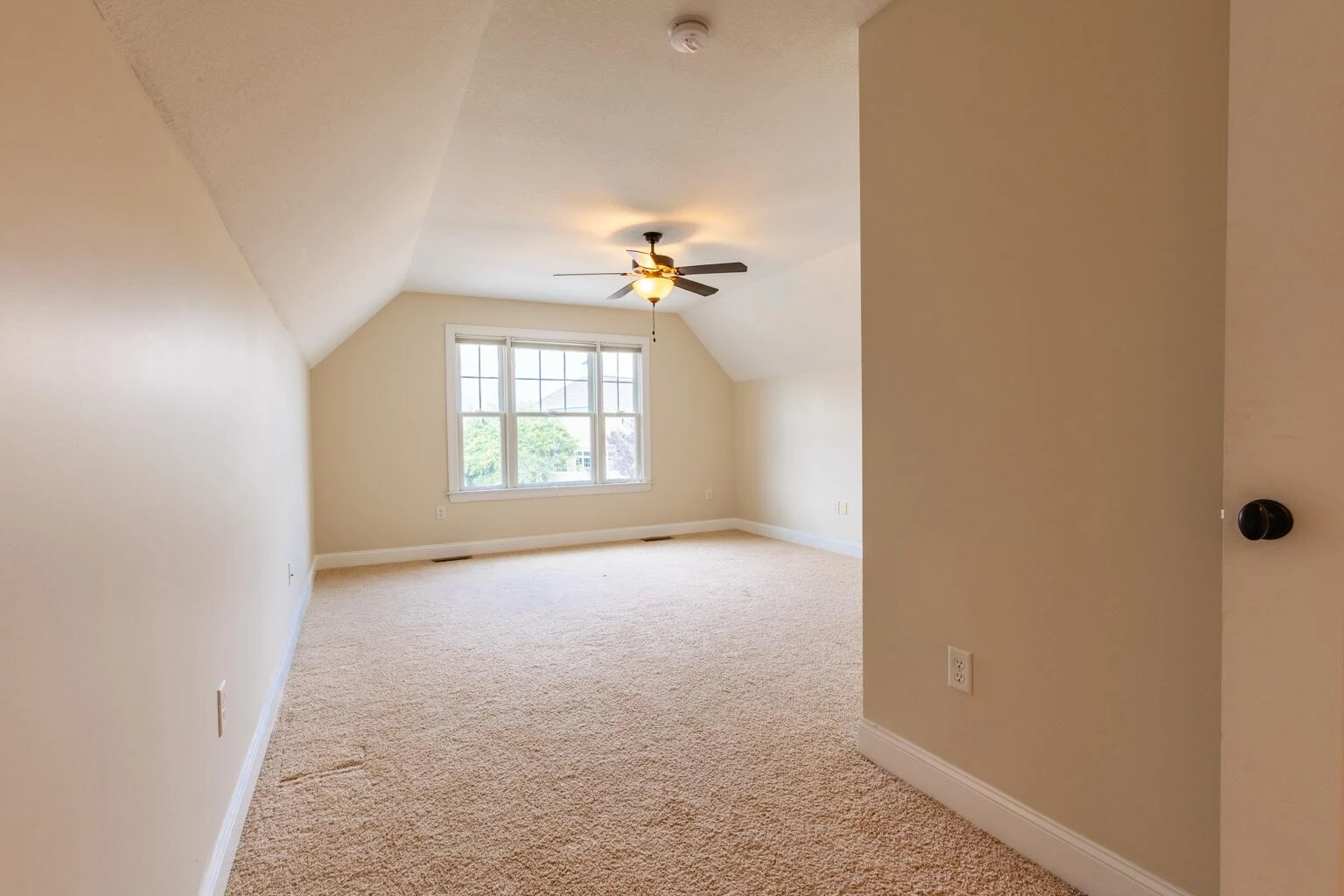 4923 Laryn LN - Photo 19