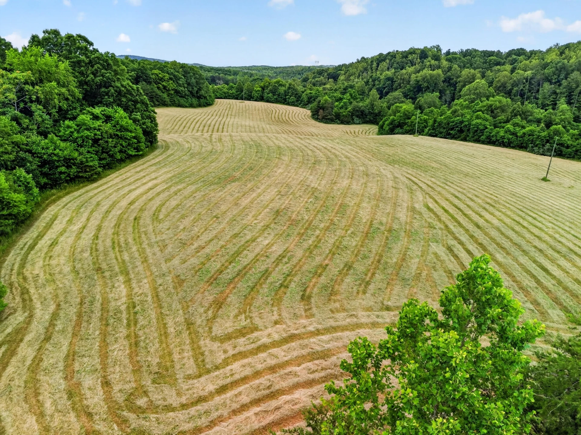 317 Beards Creek RD - Photo 2