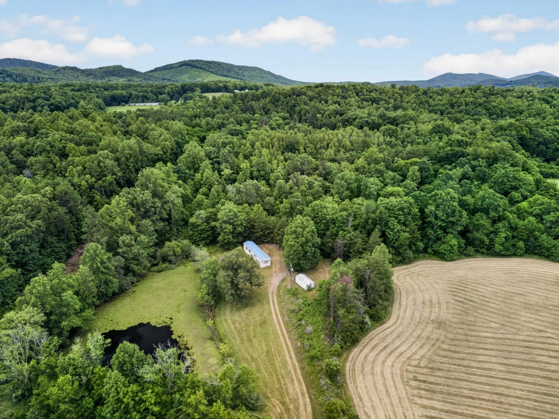 317 Beards Creek RD - Photo 27
