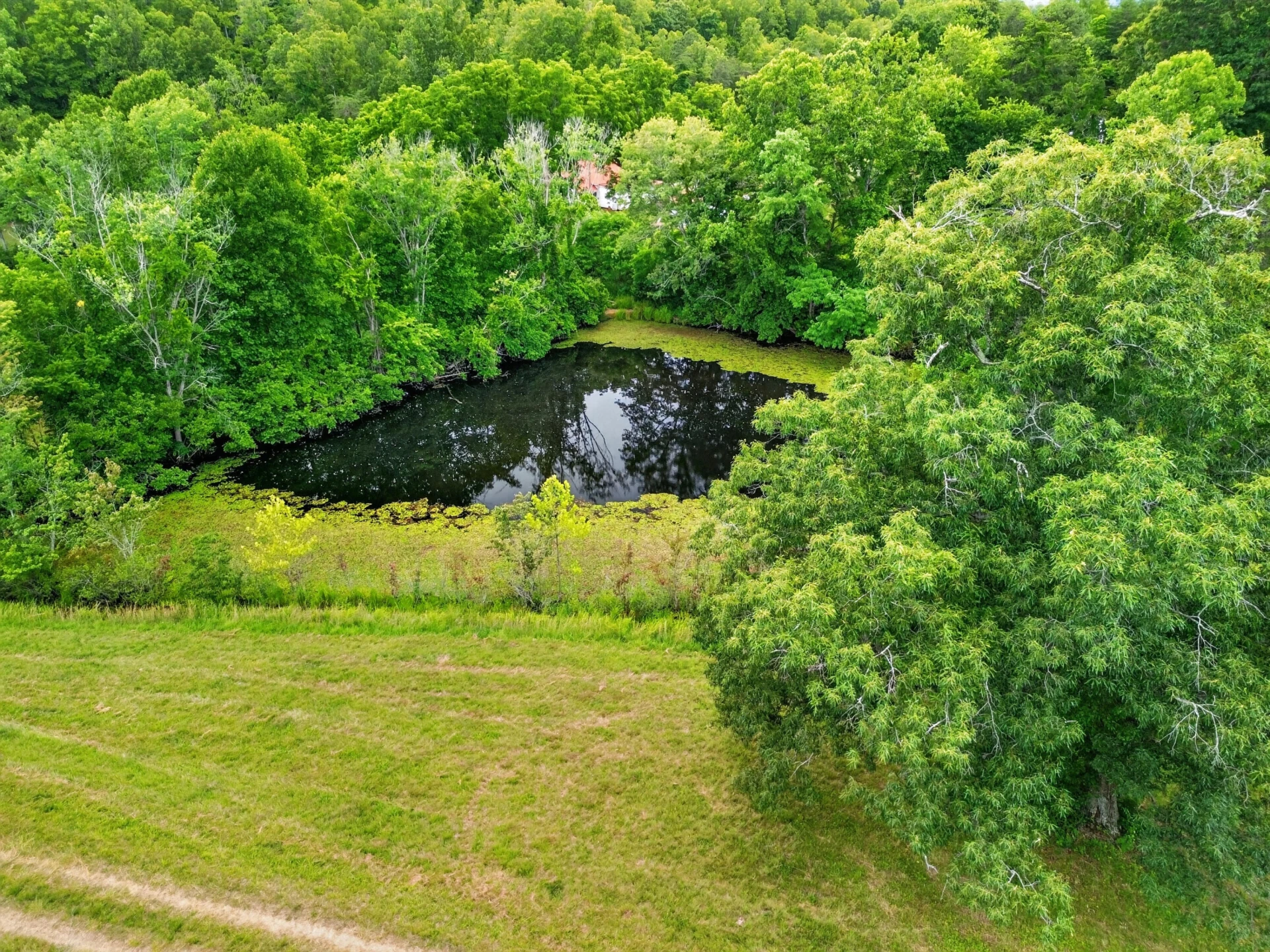 317 Beards Creek RD - Photo 29