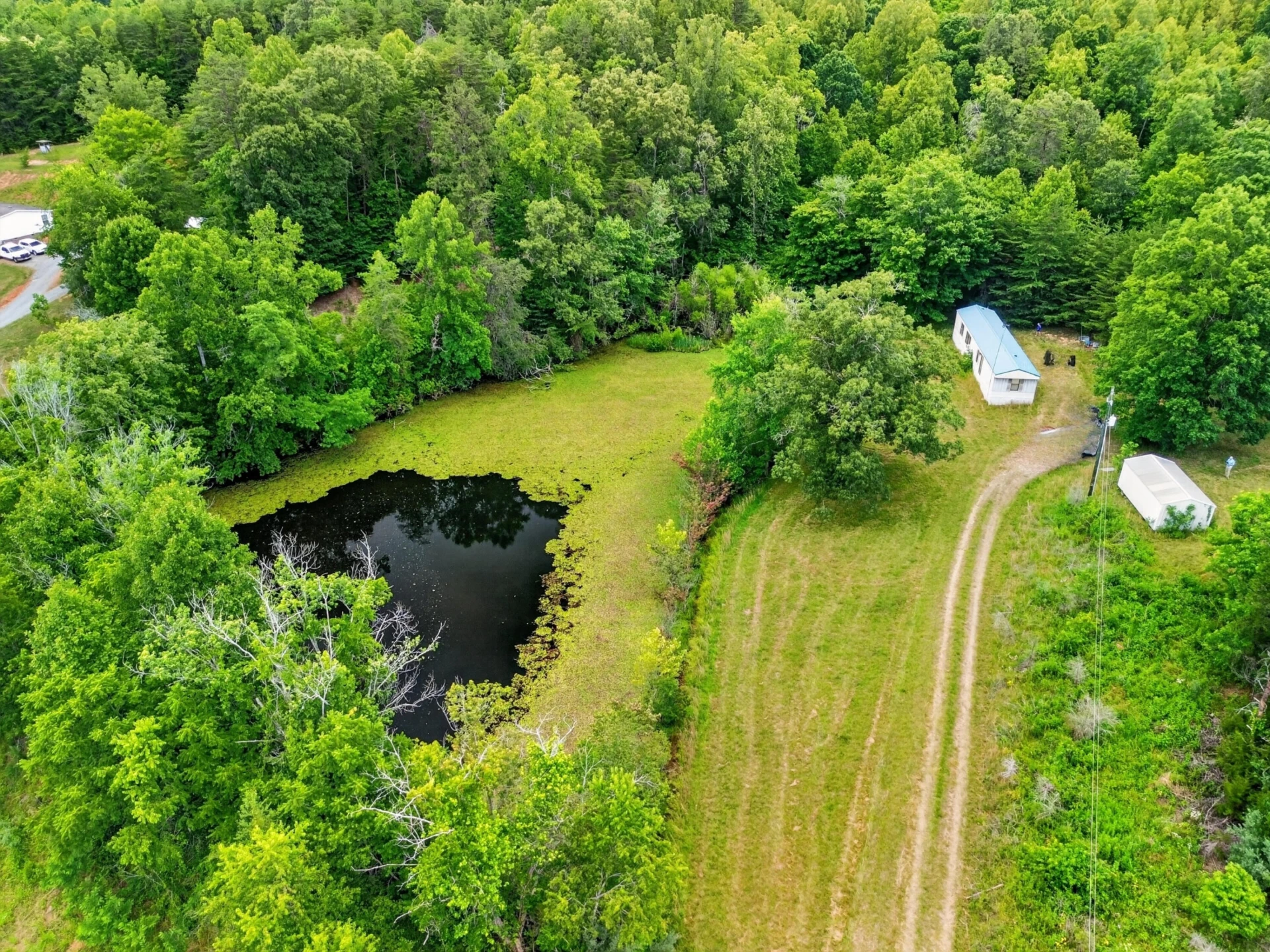 317 Beards Creek RD - Photo 3