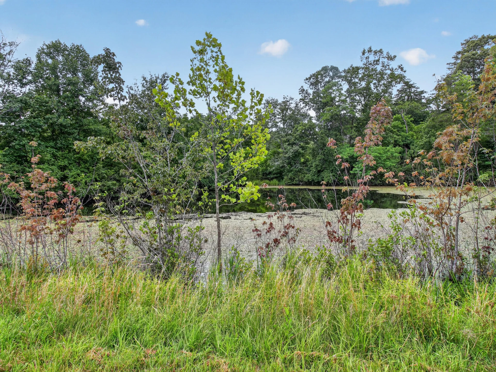 317 Beards Creek RD - Photo 30