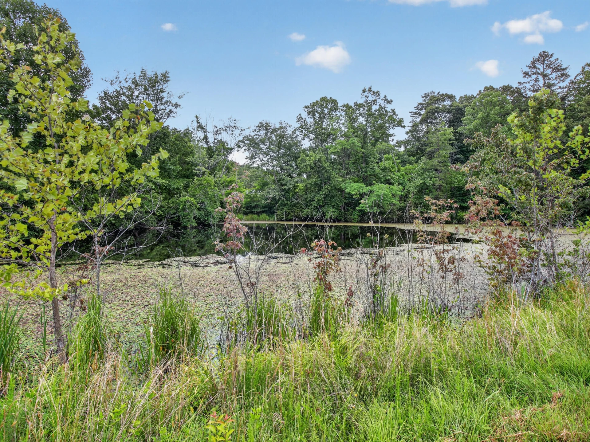 317 Beards Creek RD - Photo 31