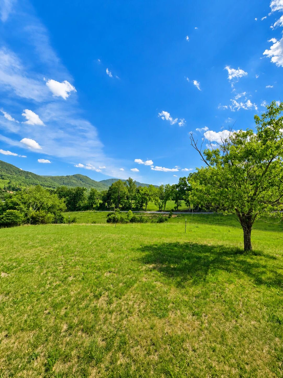1317 Smyrna Hill RD - Photo 13