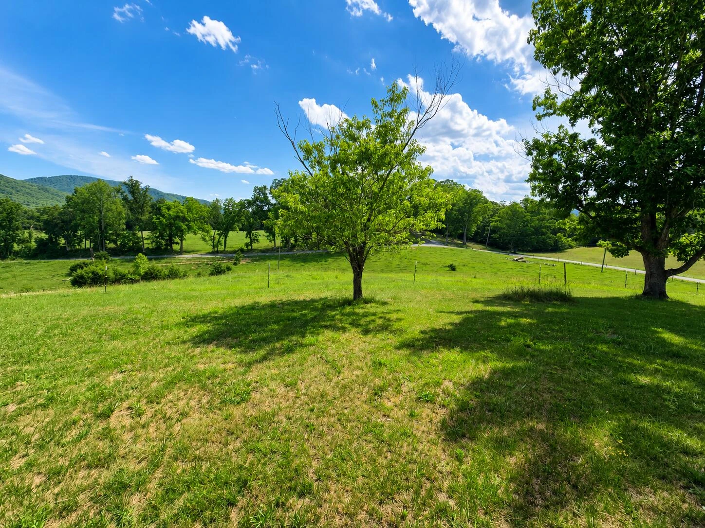 1317 Smyrna Hill RD - Photo 14