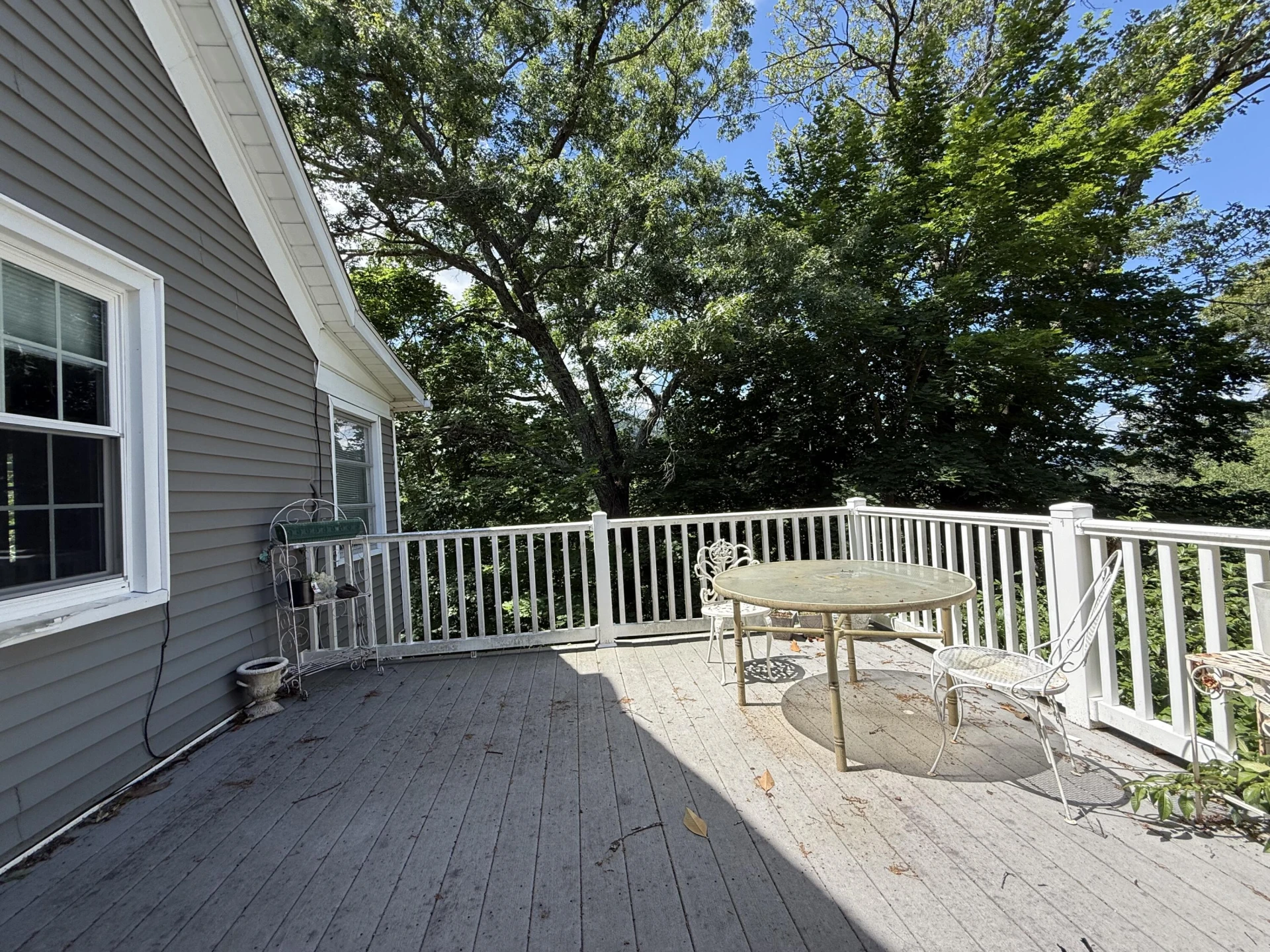 819 Palace BLVD - Photo 6
