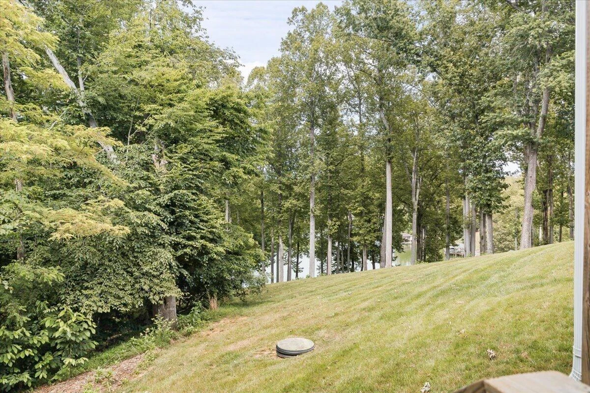 231 Mountain Cove DR ## A-2 - Photo 32