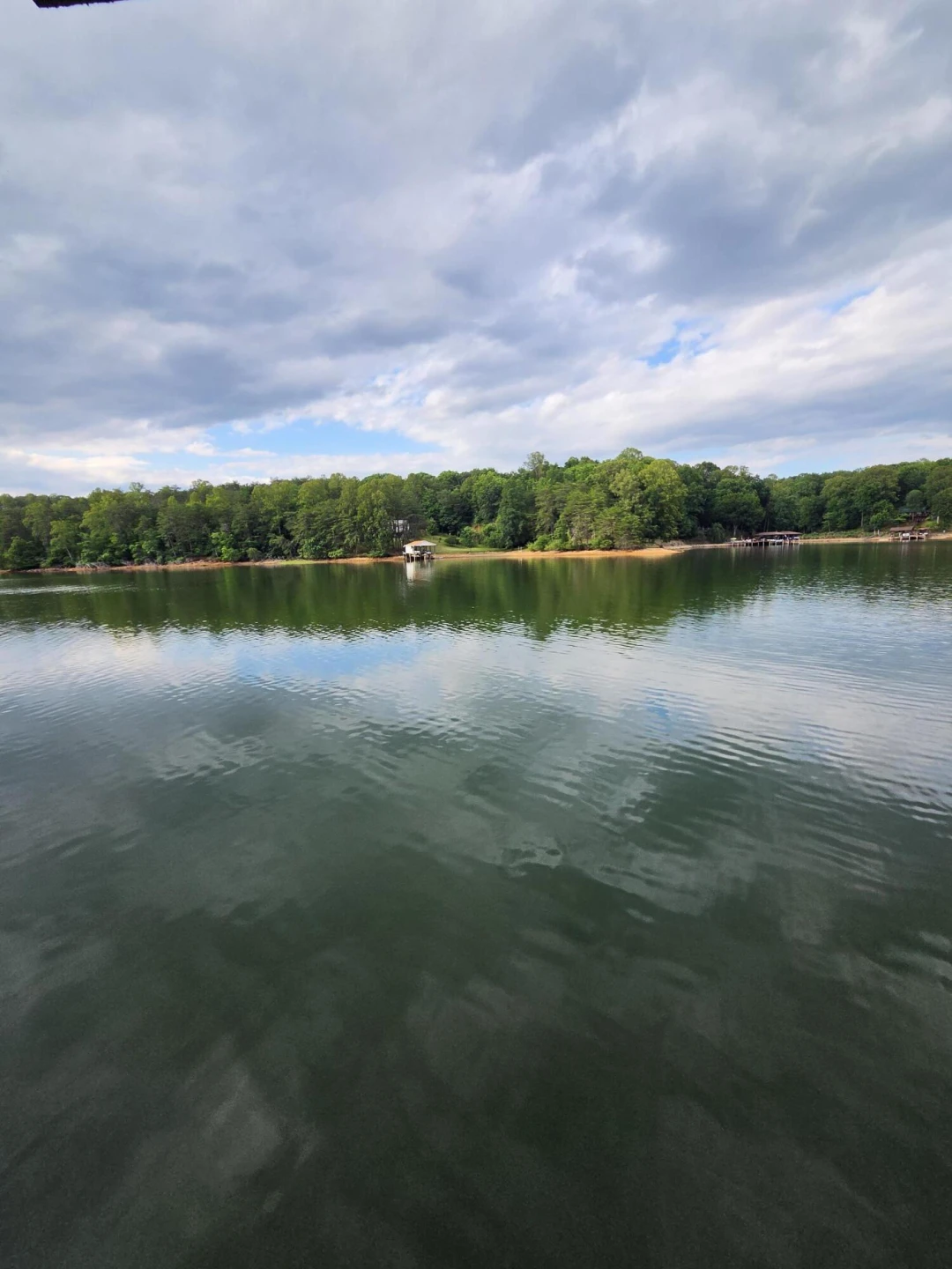 231 Mountain Cove DR ## A-2 - Photo 43