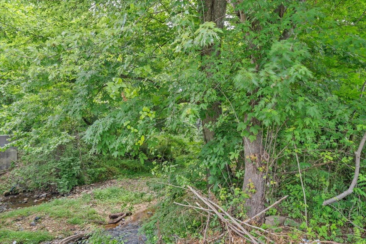 116 Henry Fork RD - Photo 7