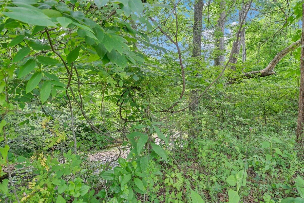 116 Henry Fork RD - Photo 8