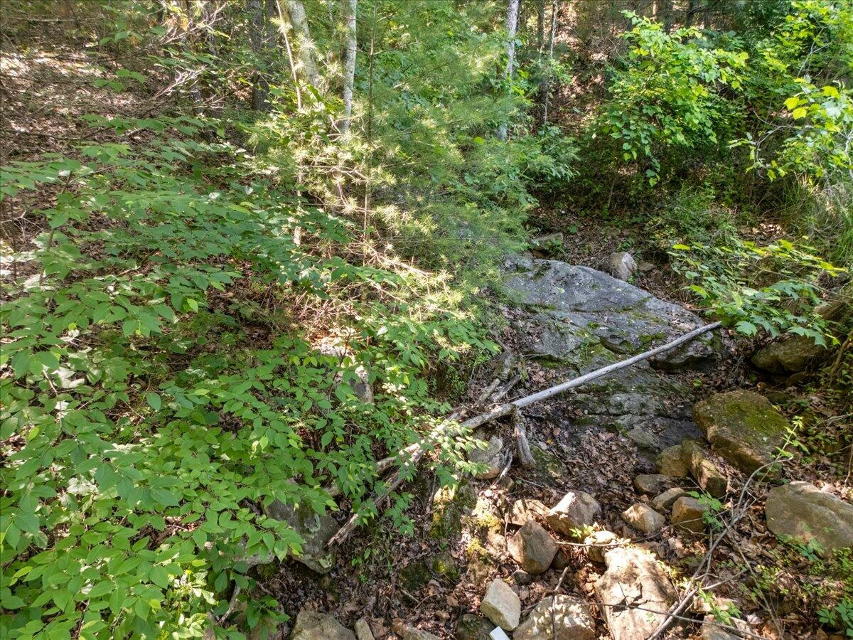 56 Craig Woods RD - Photo 55