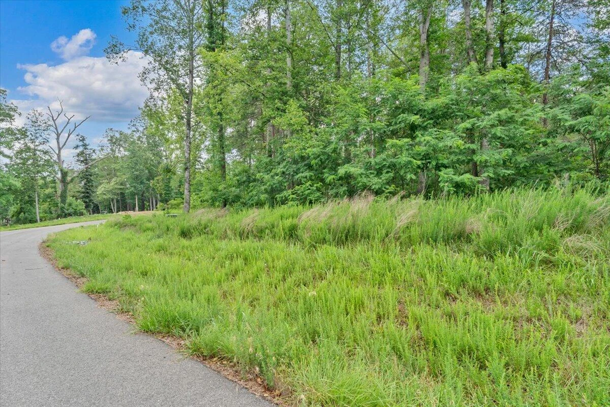 Lot 85 Crestview RD - Photo 10