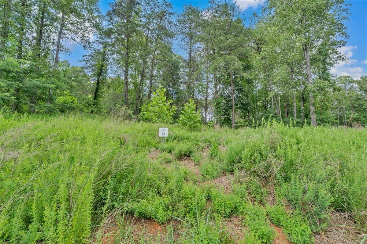 Lot 85 Crestview RD - Photo 11