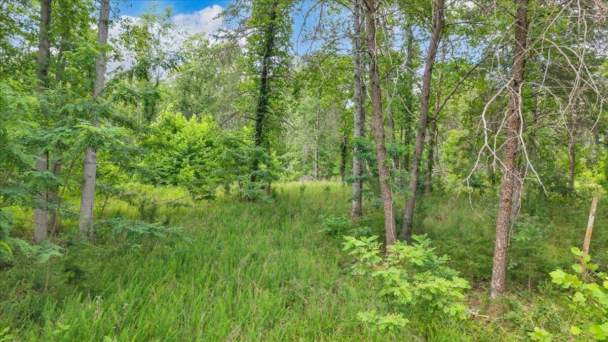 Lot 85 Crestview RD - Photo 3