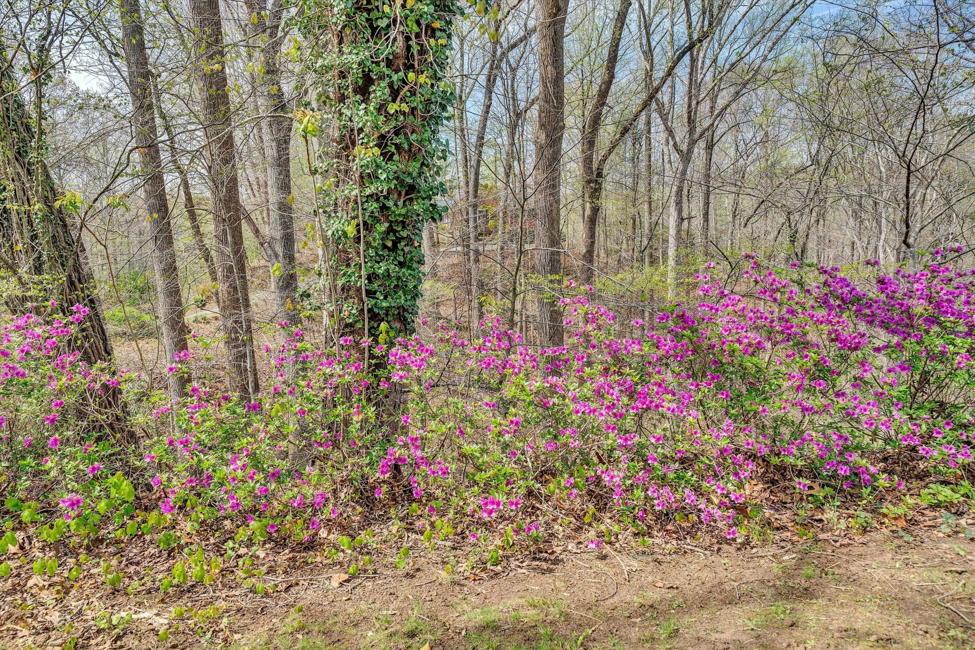 731 BASSETT HEIGHTS RD - Photo 38