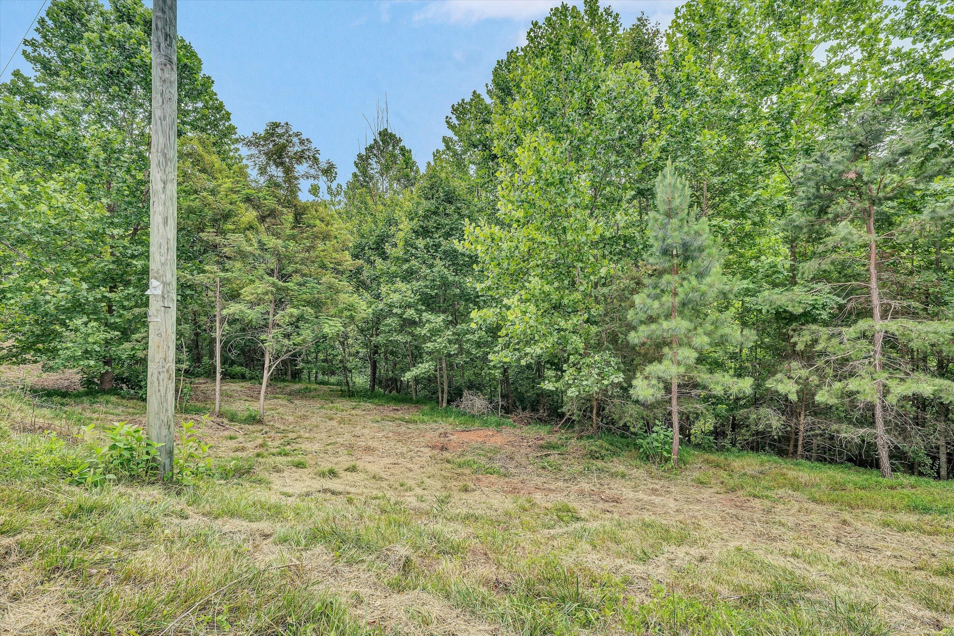 Lot 5 & 6 Stripers Cove RD - Photo 3