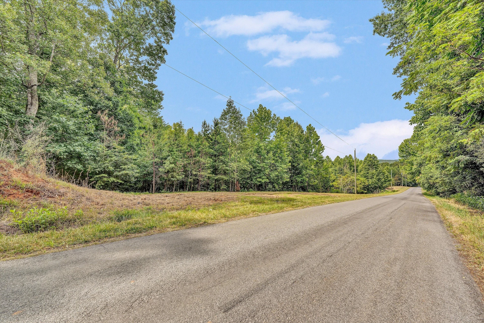 Lot 5 & 6 Stripers Cove RD - Photo 4