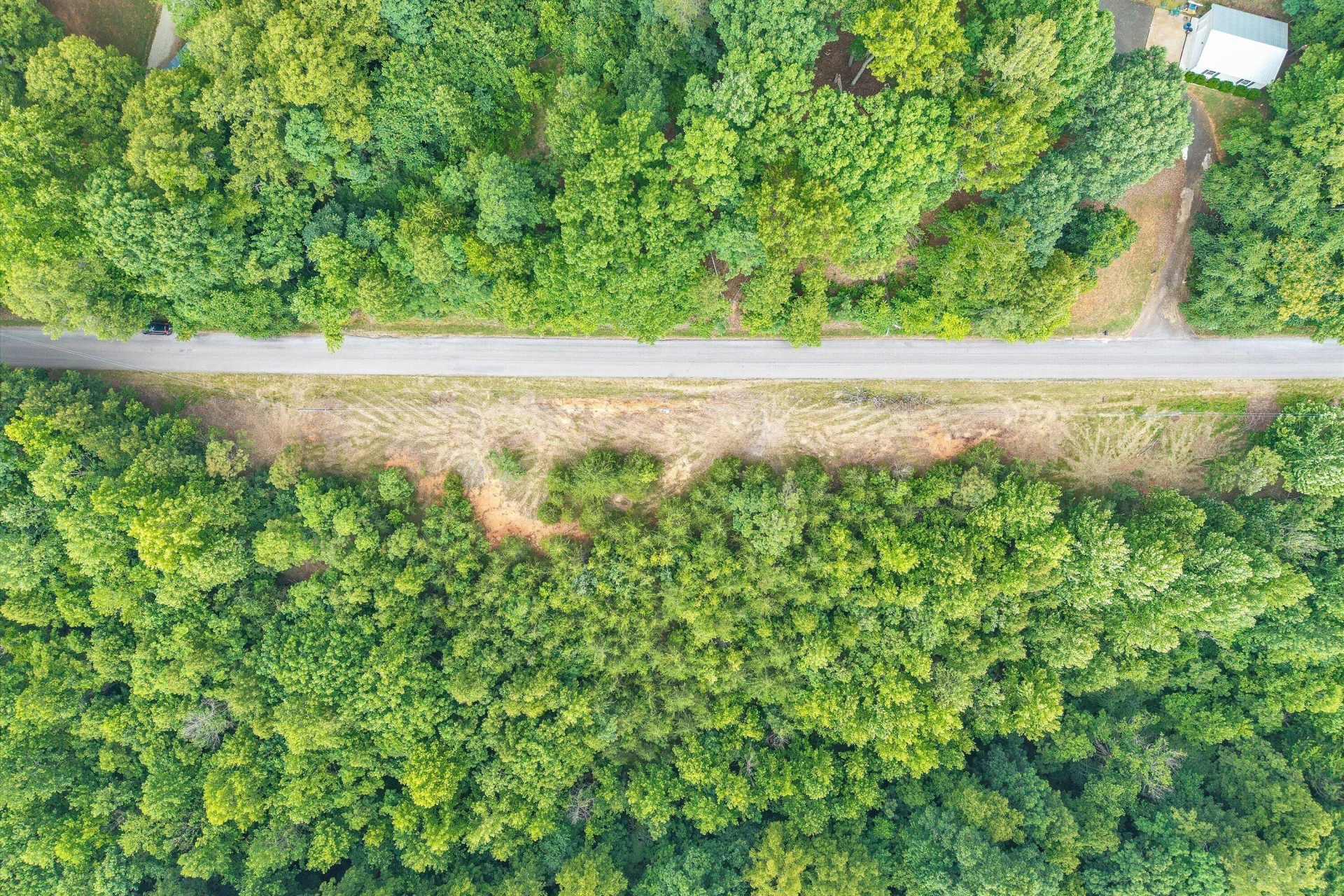 Lot 5 & 6 Stripers Cove RD - Photo 5