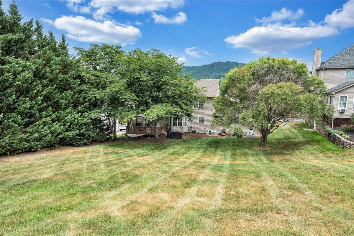 1341 Crutchfield ST - Photo 46