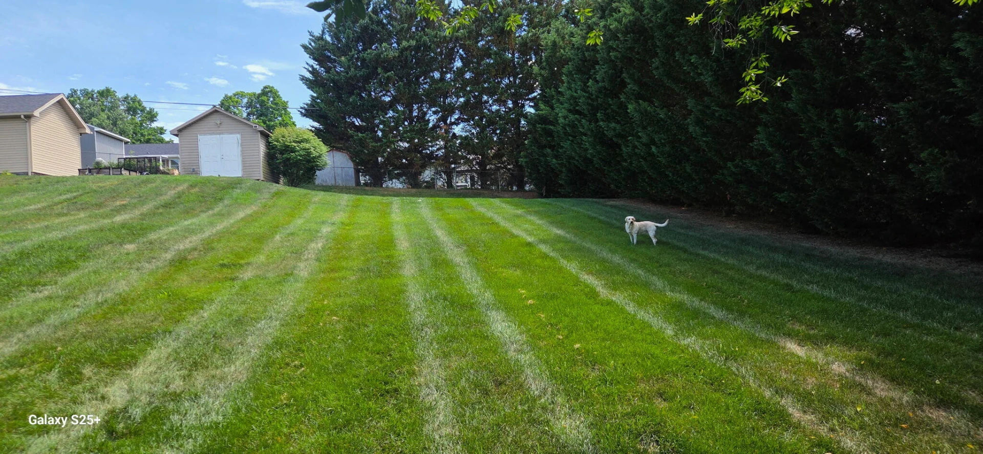 1341 Crutchfield ST - Photo 48