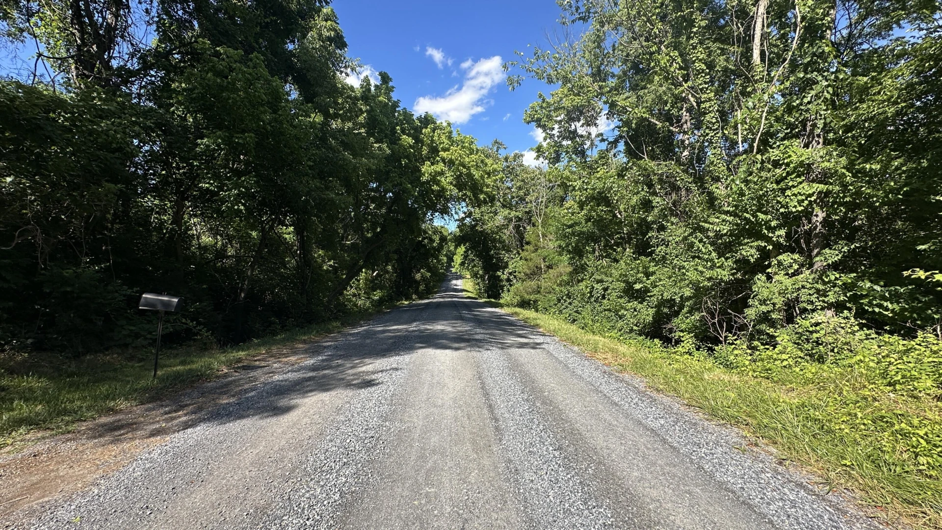 949 Roy RD - Photo 6