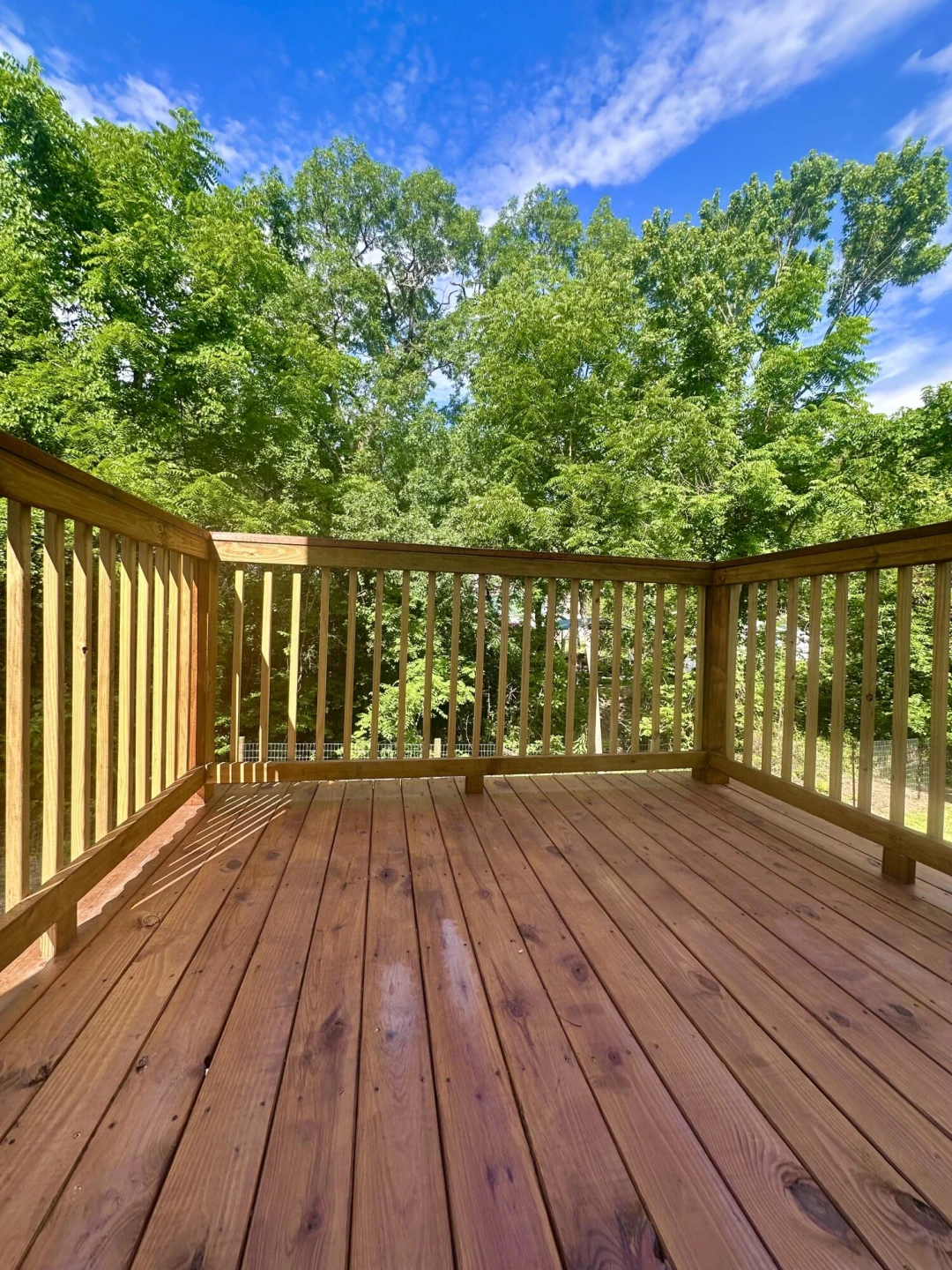 817 Rose AVE - Photo 7