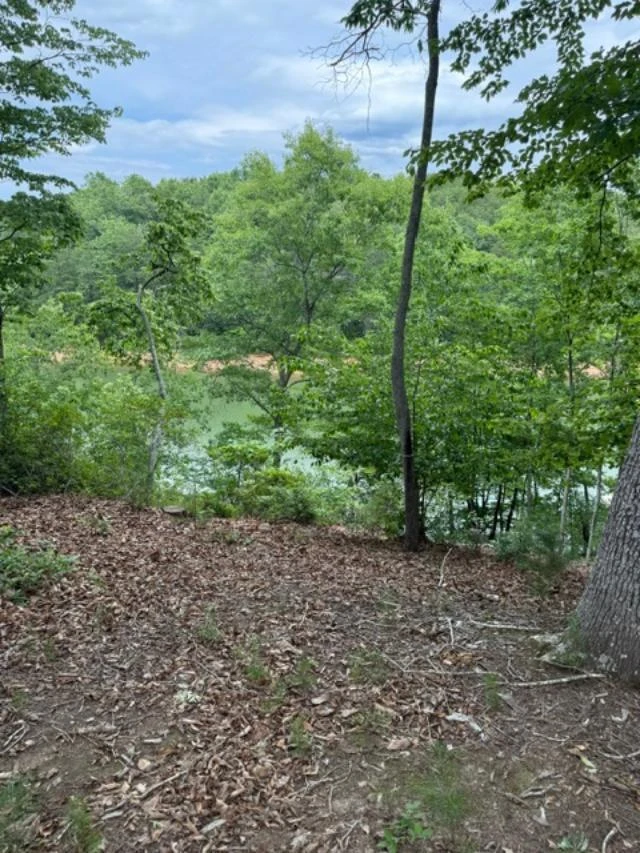 Lot 37 Waterview CT - Photo 2