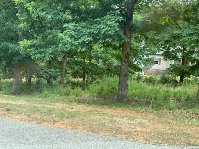 Lot 37 Waterview CT - Photo 3