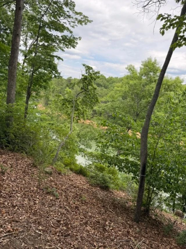 Lot 37 Waterview CT - Photo 8