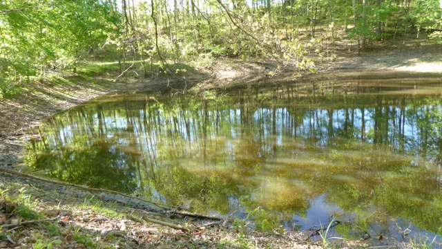 TRACT 8 Dusty LN, Martinsville, VA, 24112
