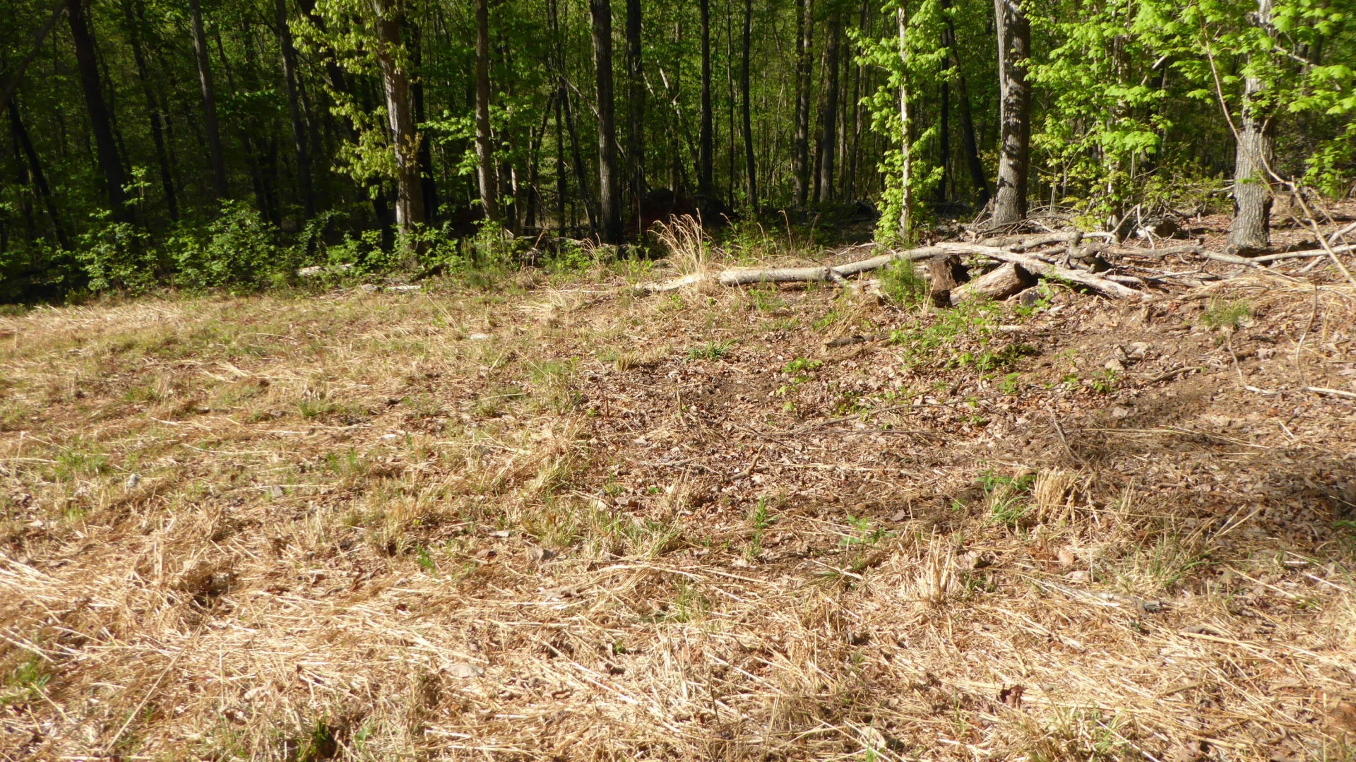TRACT 8 Dusty LN - Photo 2