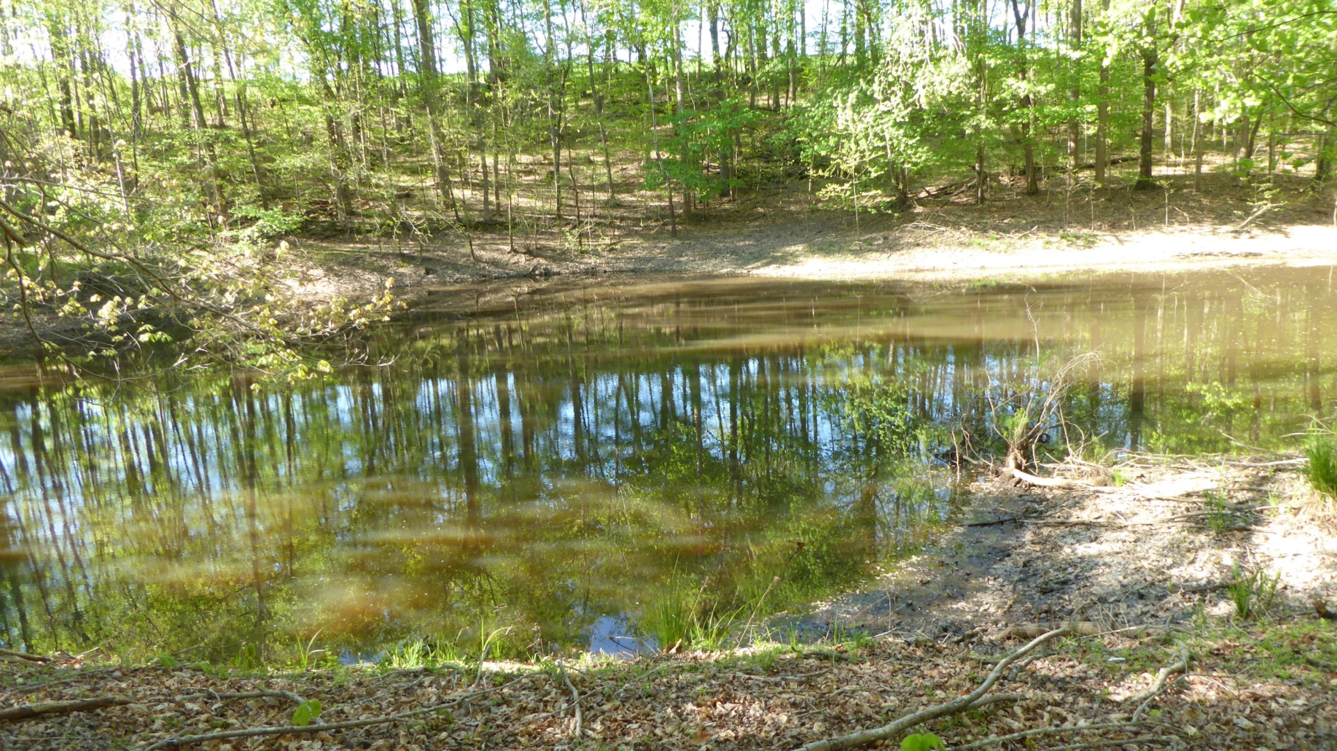 TRACT 8 Dusty LN - Photo 3