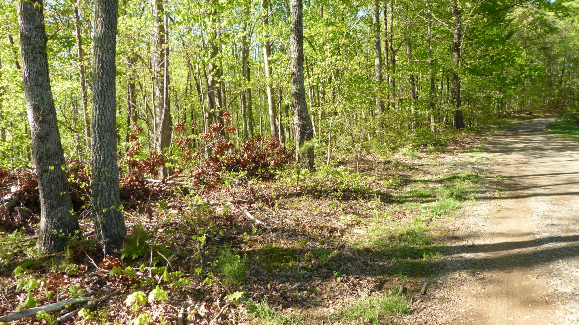 TRACT 9 Dusty LN