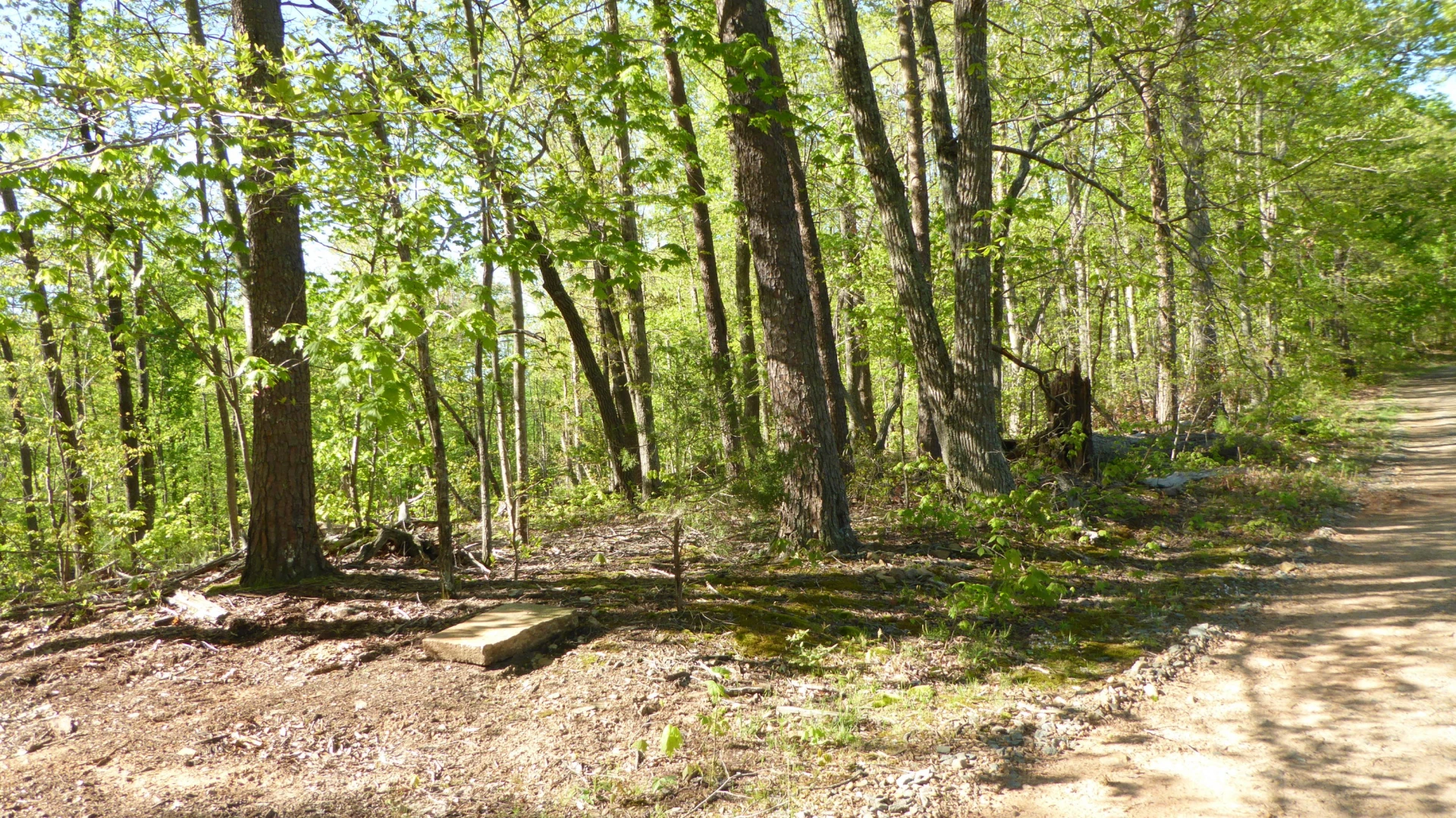 TRACT 9 Dusty LN - Photo 10