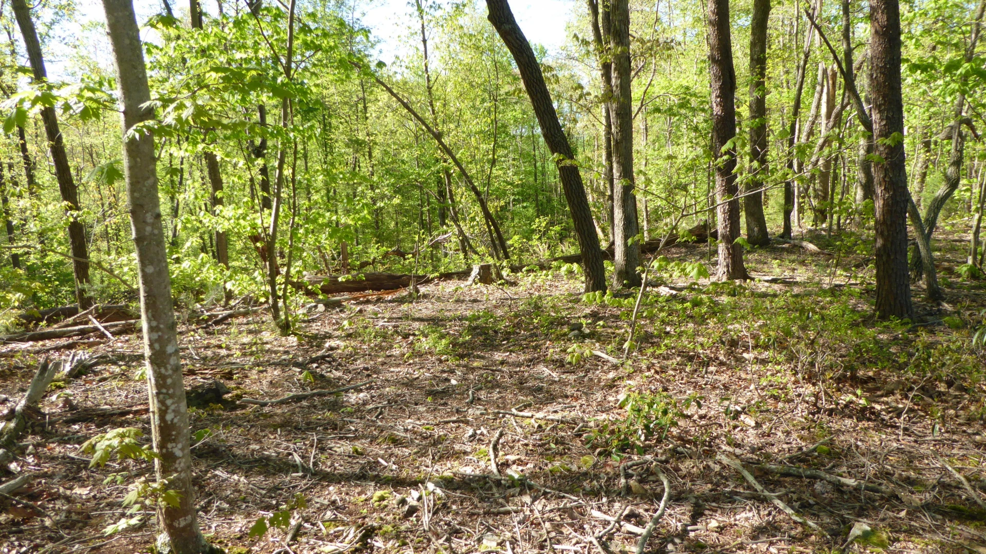 TRACT 9 Dusty LN - Photo 11